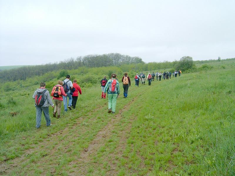2010.05.08 (012).jpg
